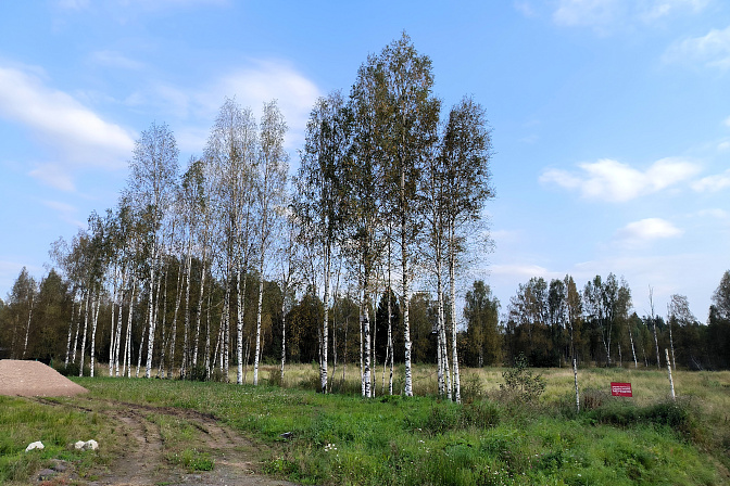 земля участок поле лес 