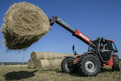 В СФ рассказали, как преодолеть дефицит кадров в сельском хозяйстве