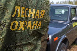 Сотрудники лесной охраны получат право на страхование жизни и здоровья