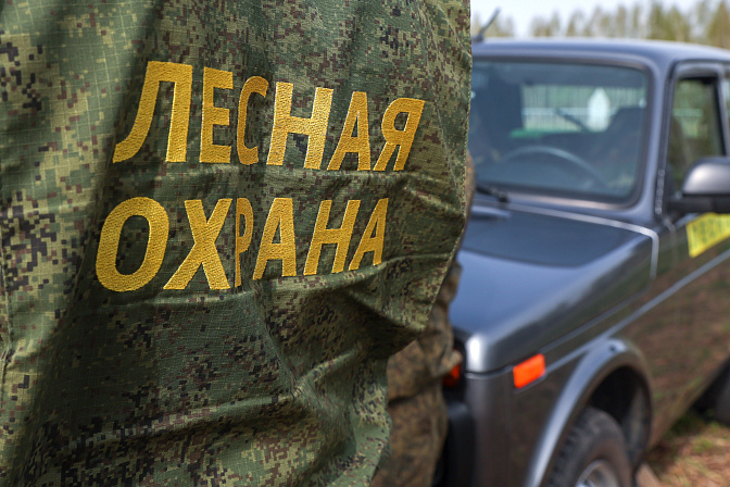 лесная охрана