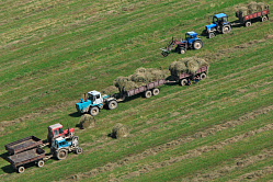 В России проведут инвентаризацию сельхозугодий