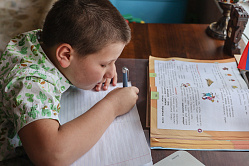 В СФ против того, чтобы учителя перестали проверять «домашку» 