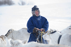 В России упростят регистрацию кочевников 