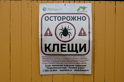 Детсады, школы и оздоровительные лагеря обязаны провести обработку от клещей 