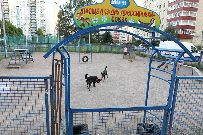 площадка  для выгула собак