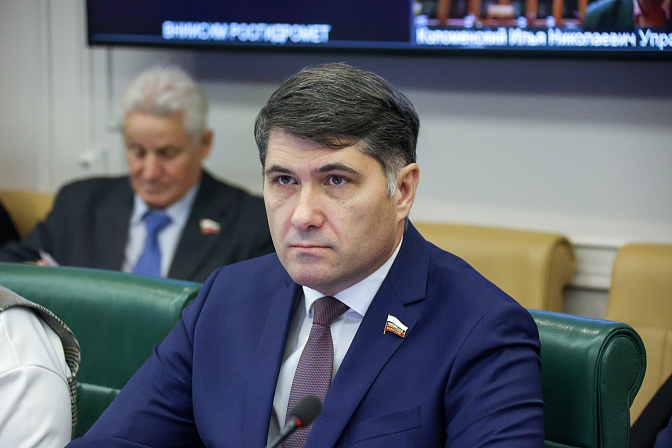 сенатор владимир пушкарёв