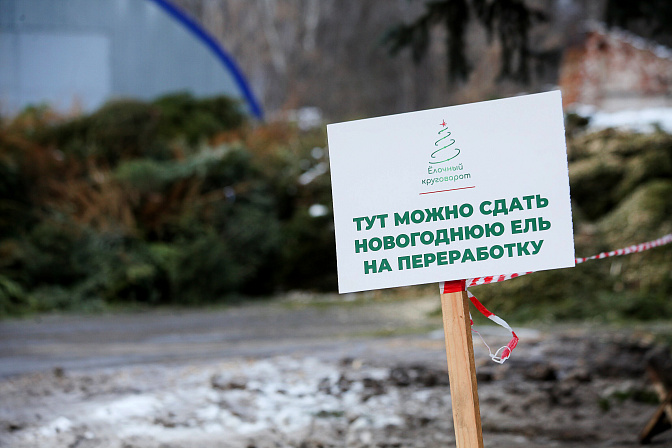 утилизация переработка новогодних елей 