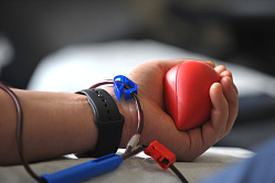 В Минздраве назвали развитие службы донорства крови одной из приоритетных задач