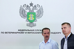 Россельхознадзор хочет ужесточить наказание за создание фантомных площадок